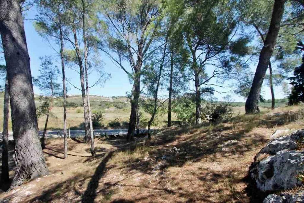 Mas Des Alpilles Au Coeur De La Nature Avec Piscine Maussane-les-Alpilles