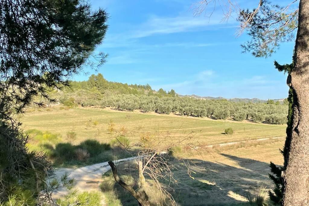 Holiday home Mas Des Alpilles Au Coeur De La Nature Avec Piscine *